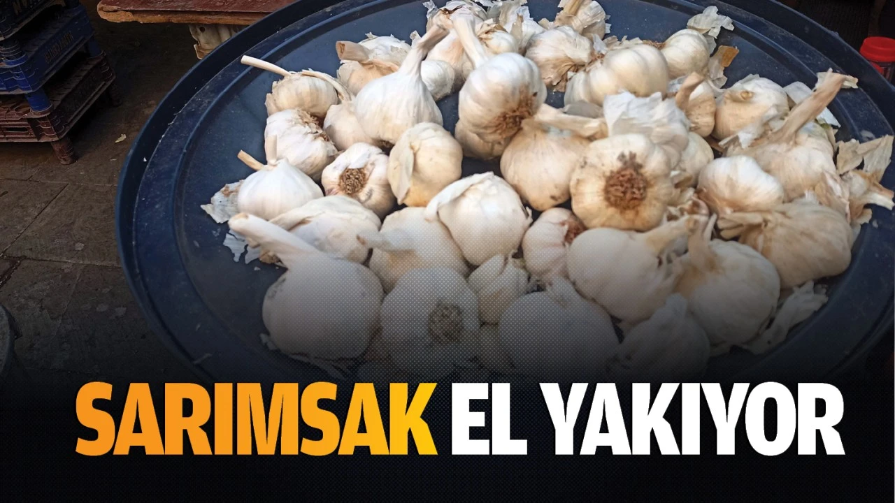 Sarımsak el yakıyor