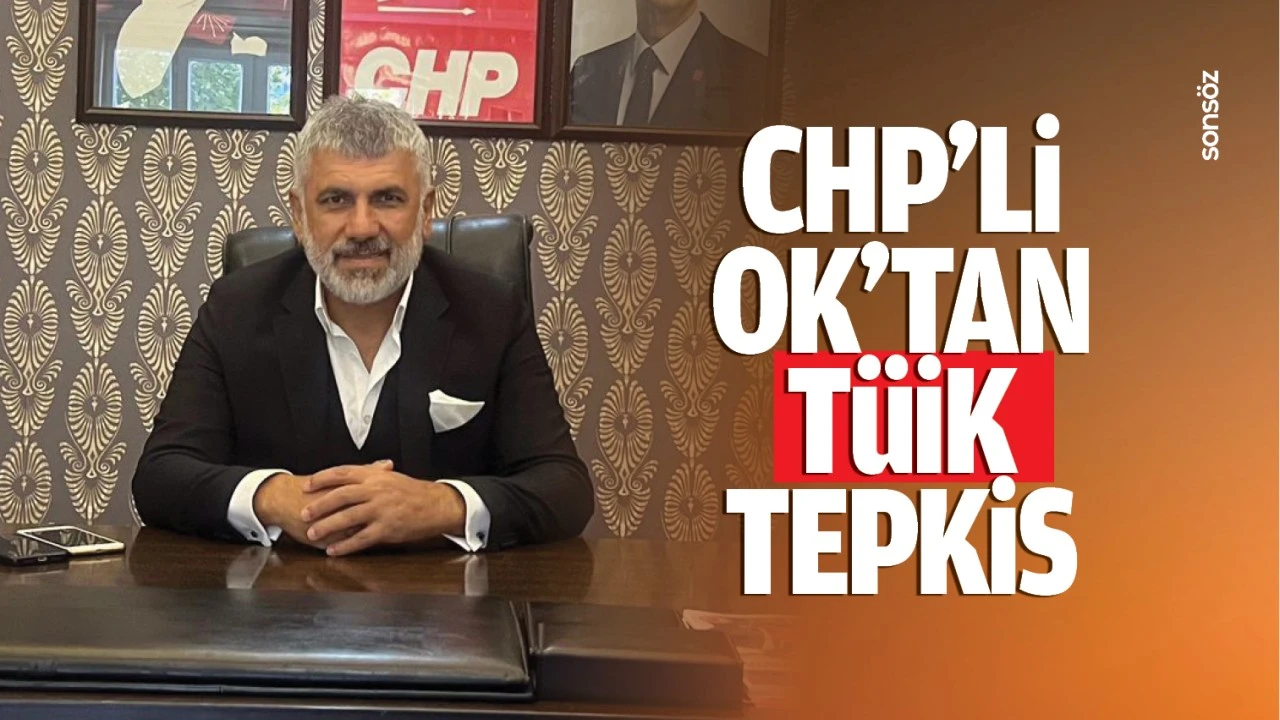 CHP’li Ok’tan TÜİK tepkisi