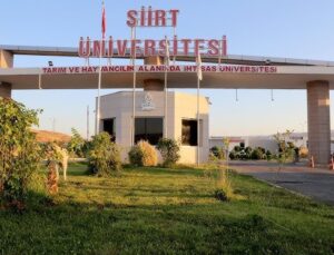 Siirt’te Üniversiteli Gençler, Harçlıklarını Çıkarmak İçin Çalışıyor