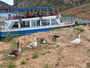 Siirt’te Tekne Turları İlgi Görmeye Devam Ediyor