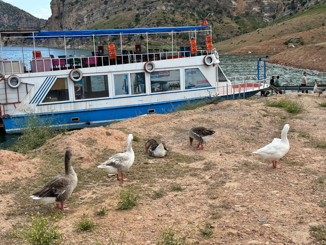 Siirt’te Tekne Turları İlgi Görmeye Devam Ediyor