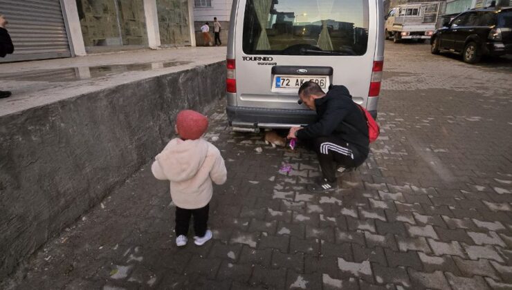 Siirt’te Sokak Canları Yalnız Değil!