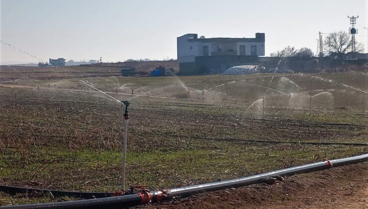 Dicle Elektrik’ten Tarımsal Sulama Öncesi Önemli uyarı: Borcunu Ödemeyen Abonelere 2025’te Elektrik Verilmeyecek! | Siirt Olay Haber