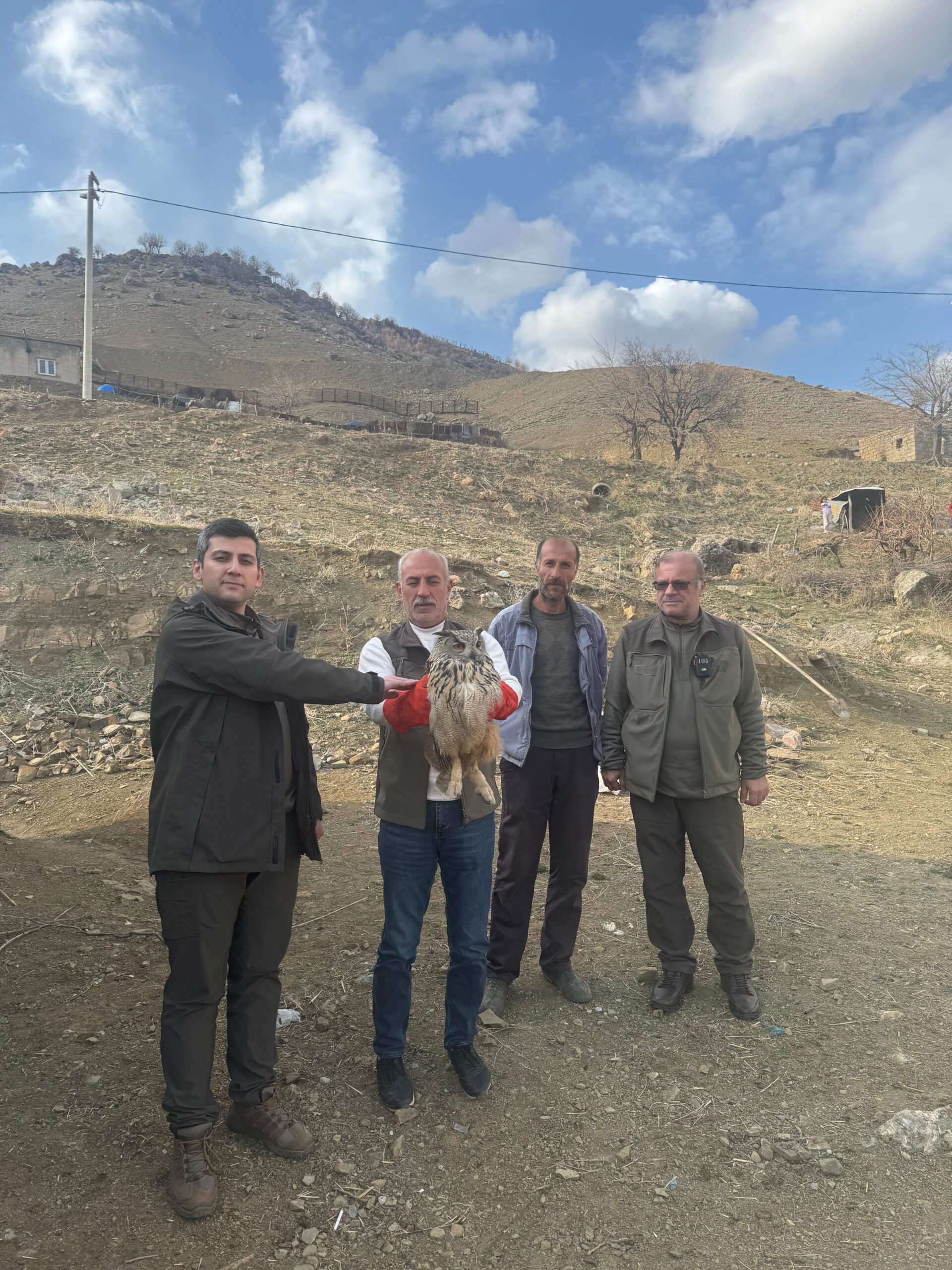 Siirt’te Bulunan Baykuş Emin Ellerde!