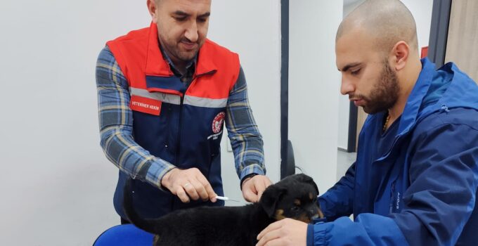 Siirt’te Dijital Kimliklendirme Devam Ediyor