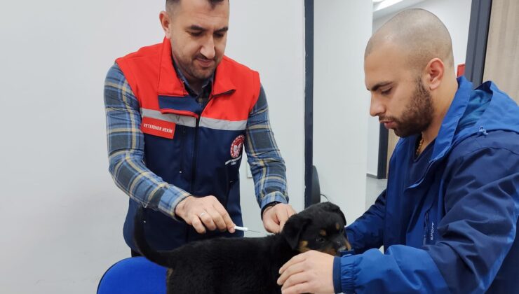 Siirt’te Dijital Kimliklendirme Devam Ediyor