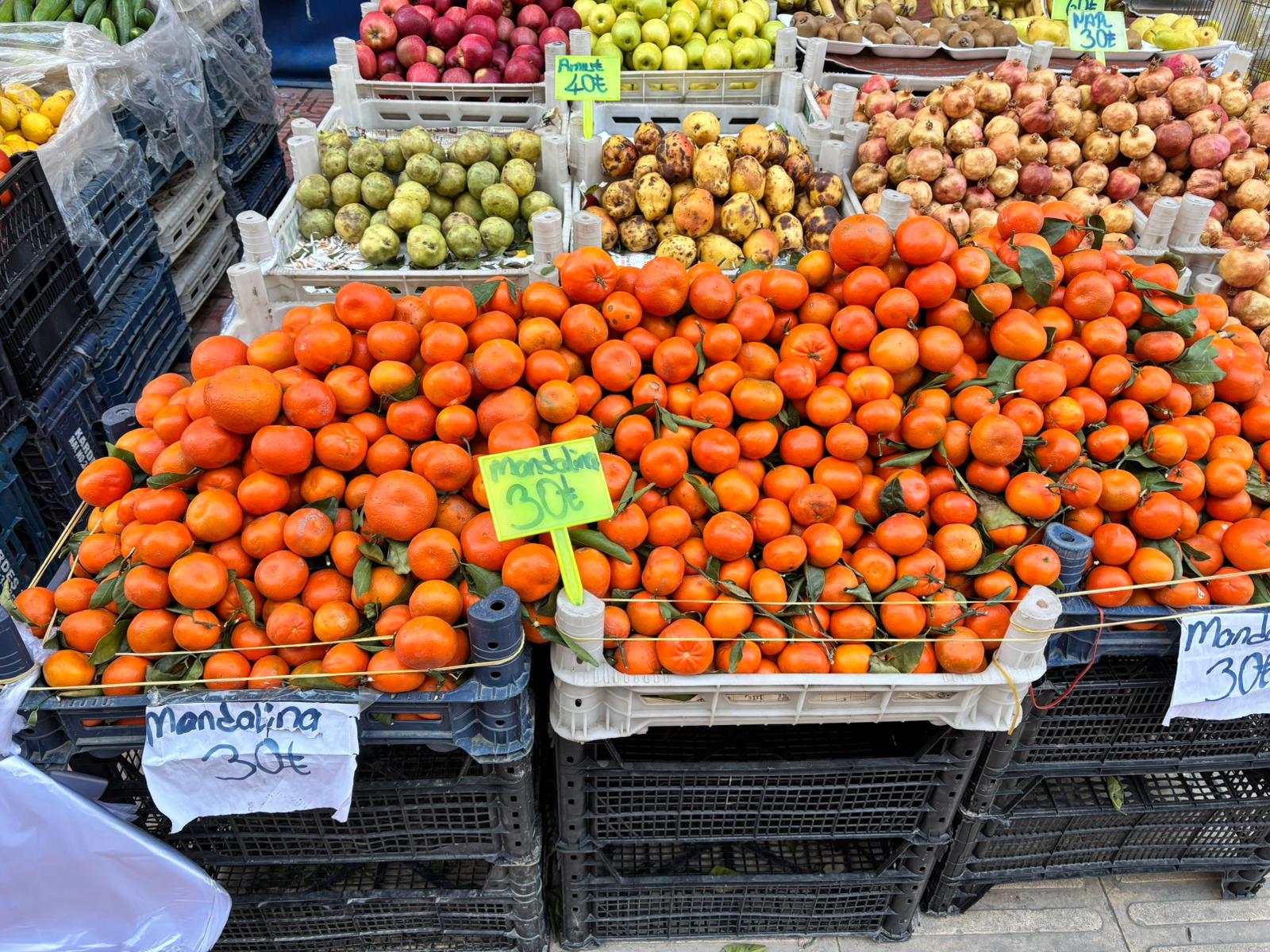 Siirt’te Mandalinalar Yok Satıyor