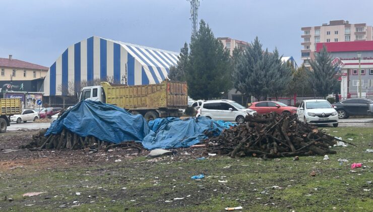 Siirt’te Yağmur Yağdı, Odunlar Islandı