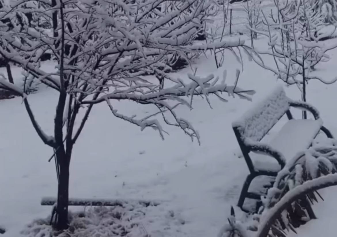 Siirt’te Taşımalı Eğitime 1 Gün Ara Verildi