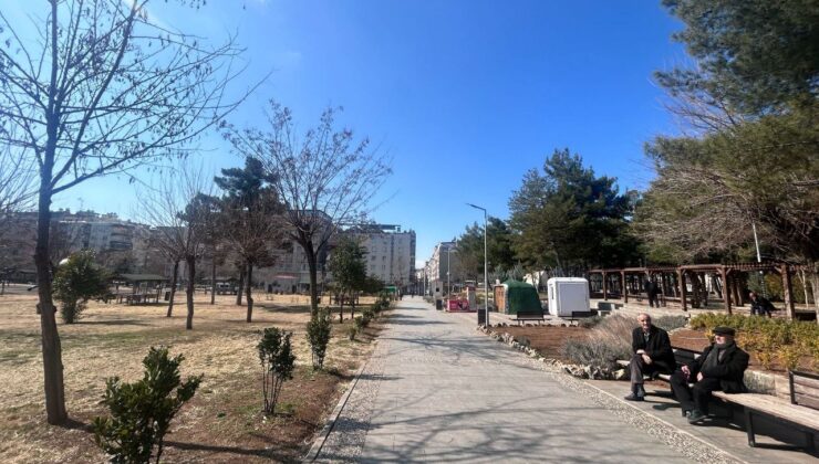 Güneşli Havayı Siirtliler Değerlendirdi | Siirt Olay Haber