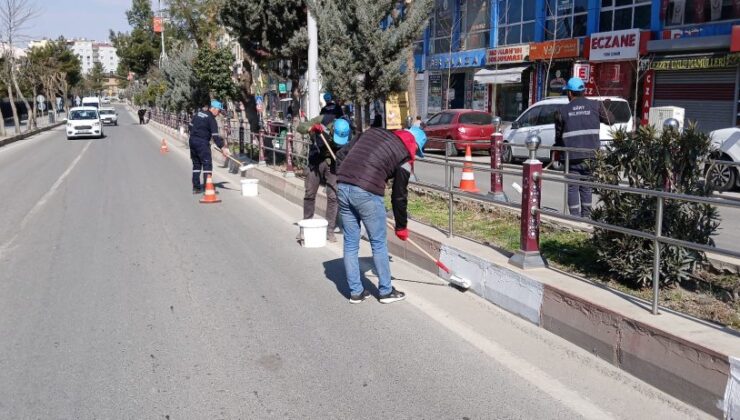 Siirt’te Kent Estetiği ve Çevre Düzenleme Çalışmaları Devam Ediyor | Siirt Olay Haber