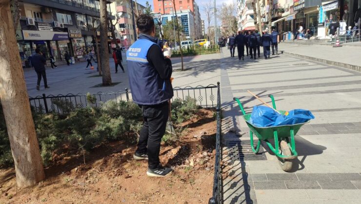 Siirt Belediyesi Şehir Merkezinde Bakım ve Onarım Çalışmalarını Sürdürüyor | Siirt Olay Haber