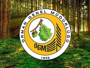 Orman Genel Müdürlüğü 4.500 Geçici İşçi Alımı Yapacak, Siirt’e 10 Kişilik Kontenjan Ayrıldı